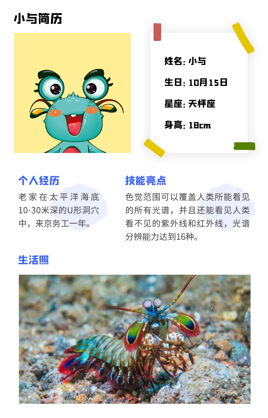 Official Announcement: SEETRUM Mascot "Xiao Yu" Has Made its Debut!(图2)